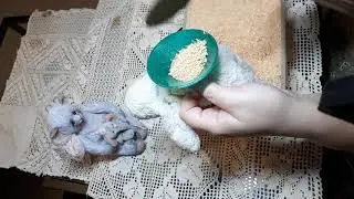 Мастер-класс "Сердечные звери". Эфир 2. Часть 1.