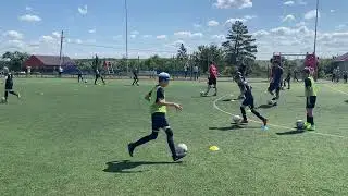 IMG 7852