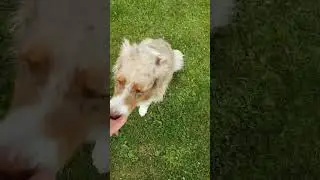 Знает всё👍 