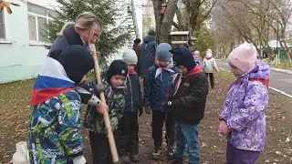 Высадка саженцев в День добровольцев Подмосковья