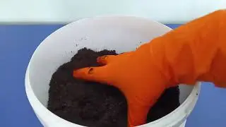 Грунт из магазина "Светофор": мое мнение