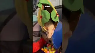 My Rats Get Food-Themed Toys! (Ratty Box - July)