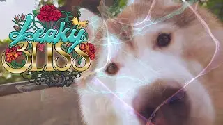 Jackson Lewis - Found In Love (Mose Remix) - LeakyBliss Visuals