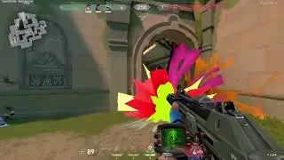 DABS - A VALORANT MONTAGE🍯❄️