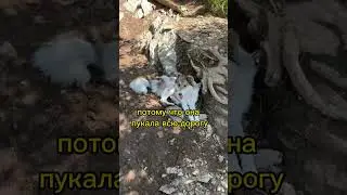 Байкал столица мира. мой тг канал «я ефим» #vlog #обзор #юмор