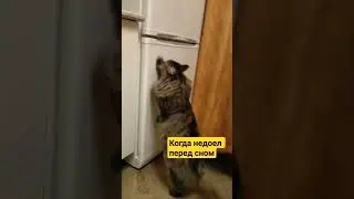 Вечерний забег 
