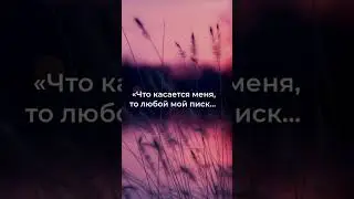 Когда гениальность звучит как музыка!