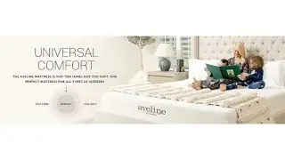 Modway Aveline - Memory Foam Mattress Know How