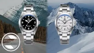 These Two Watches Punch WAY Above Their Price Point | Addiesdive AD2024-1 AD2030