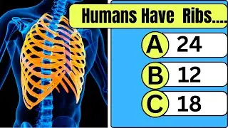 Can You Pass This Human Body Quiz| Human Body Quiz #  5