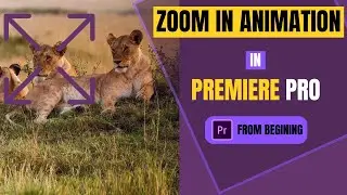 How To Zoom In Tutorial | Zoom Effect in Adobe Premiere Pro 