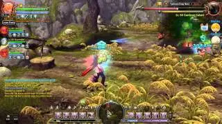 Dragon Nest NA: Playing tag with Branch Kurg (again?)