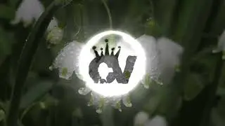 Cry - Cigarettes After Sex