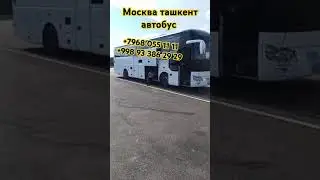 Москва Ташкент Узбекистан автобус #automobile #bgm #rek #kpop #дальнобой #love #taxi #тренд