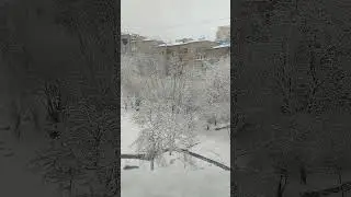 Снег ❄️ 