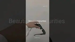 beautiful insecurities 15/100