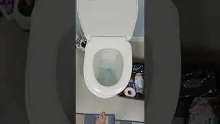 Это того стоило