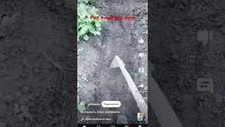 да да #лето