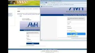 Nursing Libguide Overview