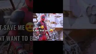 I'd be in heaven!!! 😍 #the_dc_effect #youtube #youtubeshorts #viral #viralshorts #funny #fyp #tiktok
