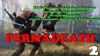 Witcher 3 PERMADEATH Challenge 2 - Vizima and Velen