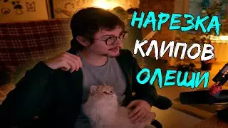 PAINTING PICTURES, CAT WORSHIP | Olesha's Twitch Clips #23