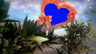 Heart Frame Wedding Footage Background Green Screen Effect   wedding background frame