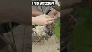 1$ vs $250,000,000 Island