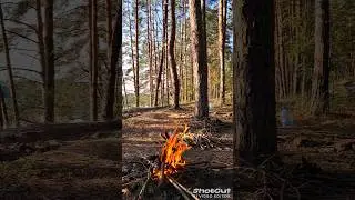 Костëрчик 🔥🔥🔥✨🌟