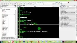 Rad Studio Delphi 010 CheckBox