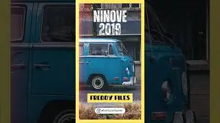 VW Aircooled : Plongez dans l'Univers Fascinant de Freddy Files 2019 !