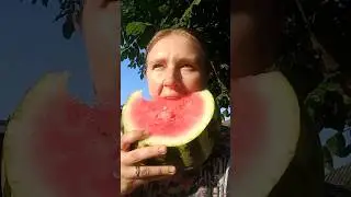 КАВУНИ від Молодої Ферми🥰#farming