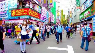 [Akihabara Walk in Tokyo] Maid Cafe Paradise ♪ (4K ASMR non-stop 1 hour 05 minutes)