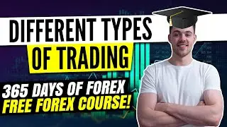 DIFFERENT TYPES OF FOREX TRADING YOU NEED TO KNOW!