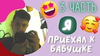 Я ПРИЕХАЛ К БАБУШКЕ! (3 ЧАСТЬ)