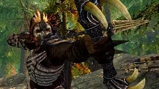 Elder Scrolls Lore: Ch.15 - Wood Elves of Valenwood