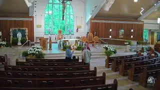 Daily Mass