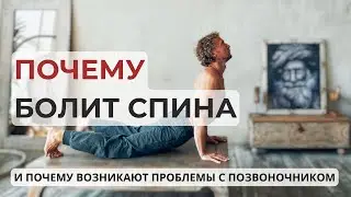 Урок 1. Почему болит спина и возникают проблемы с позвоночником и суставами?