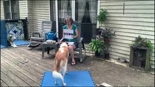 reading 3 signs