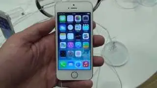 iPhone 5S - Gold, Silver, or Space Gray?