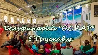 Дельфинарий 
