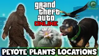 🌵 ALL 76 Peyote Plant Locations in GTA Online | Full Map Guide 🎃