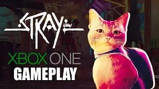 Stray Xbox One Gameplay