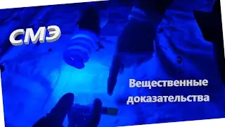 Судебно медицинская экспертиза вещественных доказательств
