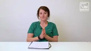 Let's talk about fleas!