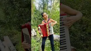 Смуглянка #аккордеон #music #accordion #триаккорда #баян #смуглянка #folk #топ #гармонь #музика