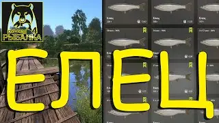 ПРОВОДКА ПО ТЕЧЕНИЮ ПО ВСЕЙ РЕКЕ ВЬЮНОК / МНОГО ЕЛЬЦА ⚓ Русская Рыбалка 4