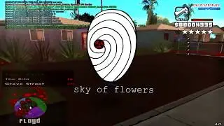---------------