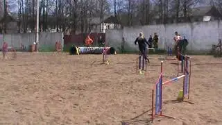 шеба 5