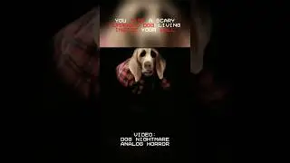The Dog that HIDES in your WALLS?!